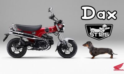 Plaque d'immatriculation de Feu Arrière de Moto Support de Licence  d'assemblage de Feu Arrière de Moto de Haute Précision 84701 098 000 pour  DAX ST50 ST70 CT50 CT70 : : Auto et